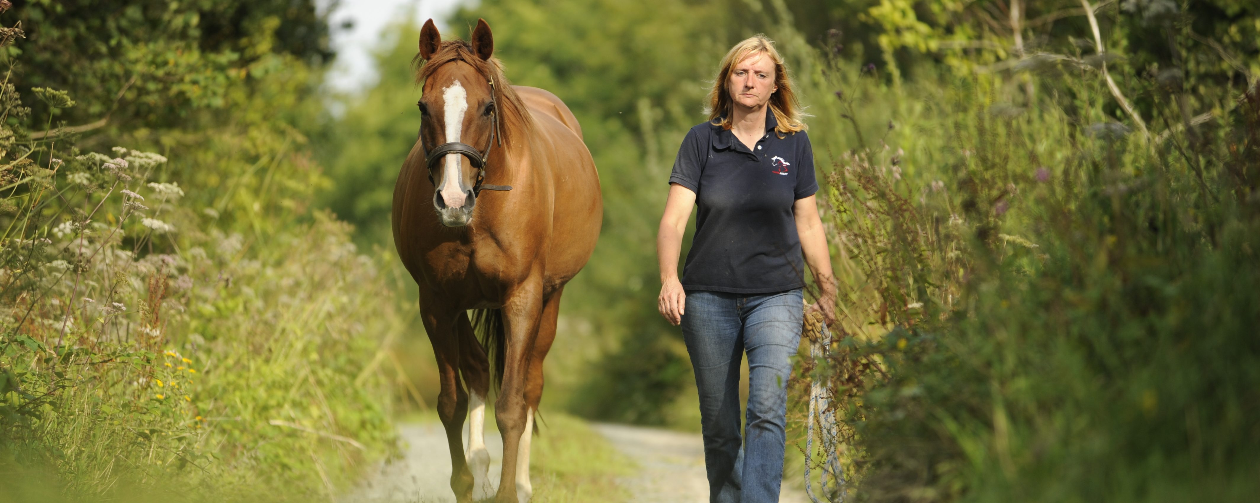 Happy Birthday to The Horse Agility Club!